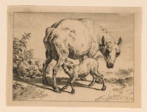La pecora da Adrian van de Velde