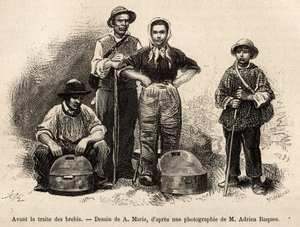 Prima del commercio delle pecore, tutto il personale della fattoria era impiegato in questo compito, ragazzo, servitore, sotto la supervisione del pastore, il latte veniva raccolto nelle seilles (vasi di metallo stagnato), incisione da un disegno di A.Mari da Adrien Emmanuel Marie