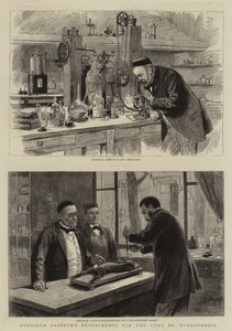Gli esperimenti del signor Pasteur per la cura della rabbia da Adrien Emmanuel Marie