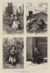 Le quattro stagioni