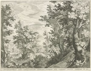 Paesaggio boschivo