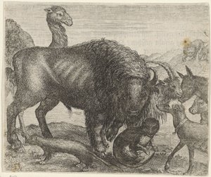 Favola del bisonte e degli altri animali