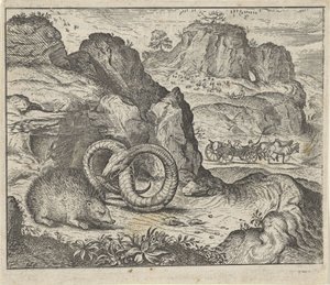 Favola del riccio e del serpente