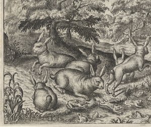Favola delle lepri e delle rane da Egidius  Sadeler (II)