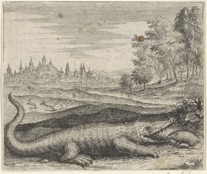 Favola del coccodrillo e della mangusta