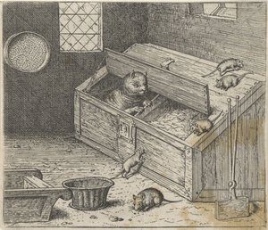 Favola del vecchio gatto e dei topi