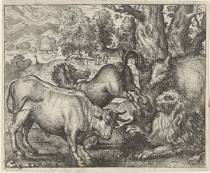 Favola del vecchio leone
