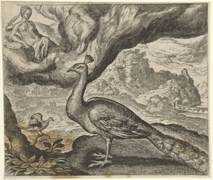 Favola del pavone e dell
