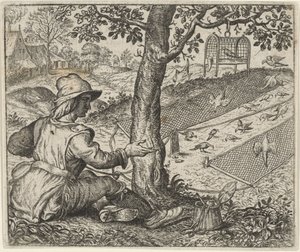 Favola del cacciatore di uccelli