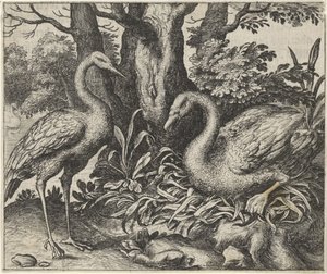 Favola del cigno e della cicogna