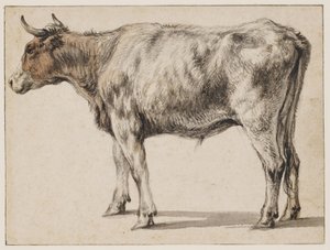 da Aelbert Cuyp