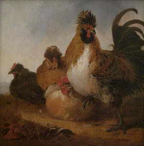  da Aelbert Cuyp