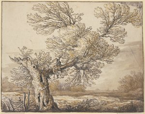  da Aelbert Cuyp