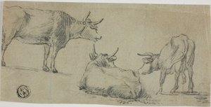 Tre schizzi di mucche da Aelbert Cuyp