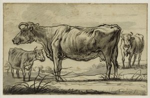  da Aelbert Cuyp