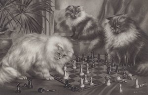 Gruppo di gatti che giocano con pezzi degli scacchi da Agnes Augusta Talboys