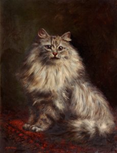 Gatto persiano, c.1908-20 da Agnes Augusta Talboys