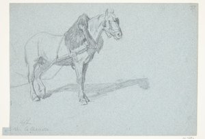 Un cavallo