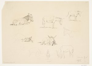 Foglio di studio con animali da Agnes Lunn