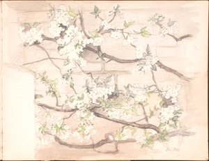 Quaderno di schizzi. Luglio 1899 - giugno 1901 da Agnes Slott Møller