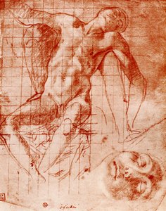 Studi da Agnolo Bronzino