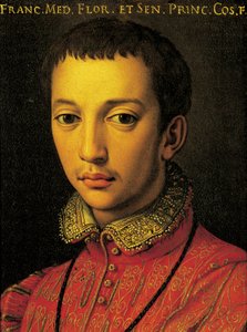 Ritratto di Francesco I de