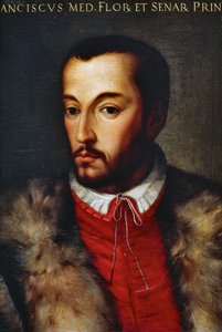 Ritratto di Francesco I de