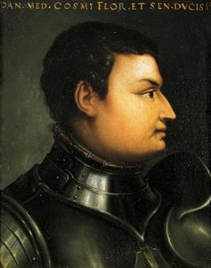 Ritratto di Lodovico de Medici, detto Giovanni dalle Bande Nere