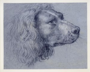  da Agostino Carracci