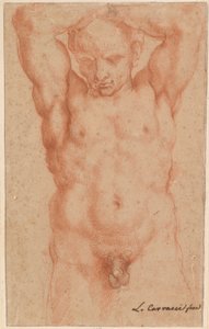 Nudo maschile da Agostino Carracci
