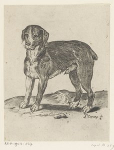 Cane in piedi da Agostino Carracci