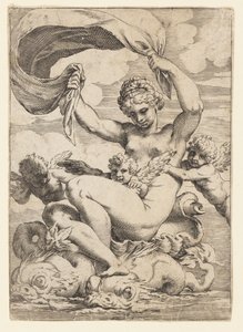 Venere (o Galatea) e Cupidi sostenuti da delfini da Agostino Carracci