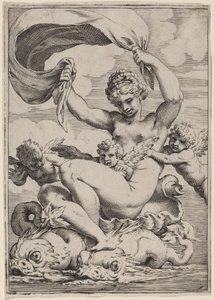 Venere o Galatea sostenuta dai delfini da Agostino Carracci