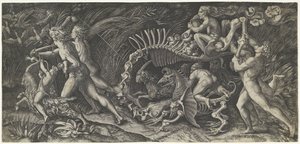 La carcassa da Agostino Veneziano