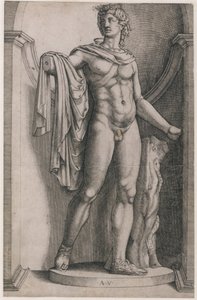 Speculum Romanae Magnificentiae: Apollo del Belvedere, ca. 1514-36 da Agostino Veneziano