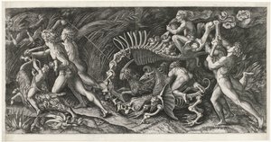 La carcassa da Agostino Veneziano