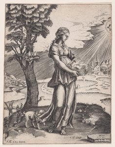 La Sibilla Cumana da Agostino Veneziano