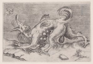 Il drago e l