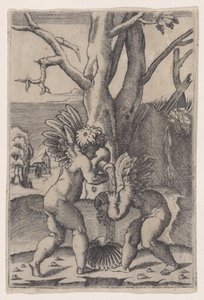 Due Cupidi da Agostino Veneziano
