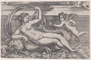 Venere reclinata su un delfino, ca. 1516
