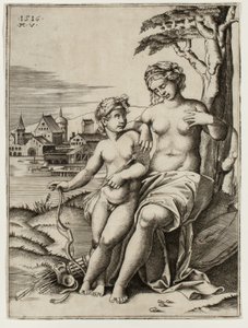 Venere ferita dalla freccia di Cupido da Agostino dei Musi