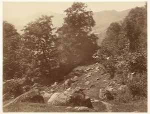 La Vallée du Lys (Coup de Vent) da Aimé Civiale