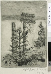 Paesaggio lacustre da Akseli Gallen-Kallela