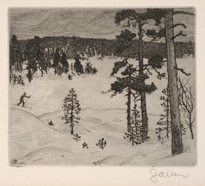 Il cupo velo dell