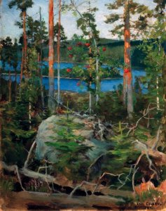Paesaggio sul lago Jamajärvi da Akseli Valdemar Gallen Kallela