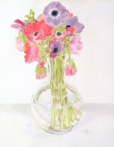 Anemoni, 1982 da Alan Byrne