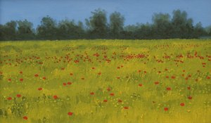 Campo giallo con papaveri