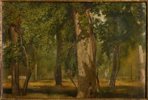 Il bosco da Albano Lugli Carpi