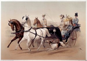 Una carrozza Victoria e i cavalli di Tarbes Stampa di Albert Adam (1833-?) XIX secolo Parigi, Museo Carnavalet