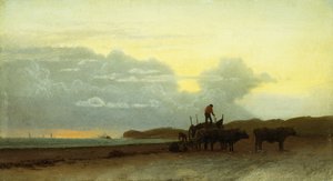 Veduta costiera, Newport, 1861 da Albert Bierstadt